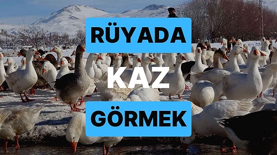 Rüyada Kaz Görmek: Kısa Zamanda Aradığınız Mutluluğa Ulaşacaksınız!