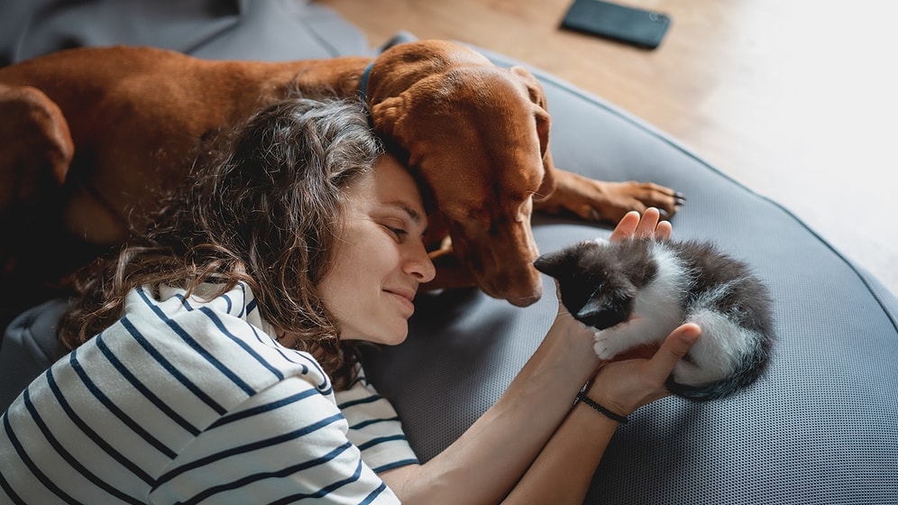 Kedi ve Köpek Sahiplerinin İyi ki Böyle Bir Dosta Sahibim Dedikleri 10 An