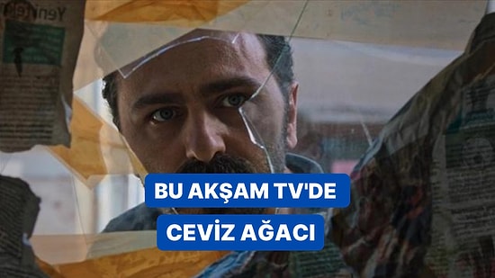 Ceviz Ağacı Filminin Konusu Nedir? Ceviz Ağacı Filmi Oyuncuları Kimlerdir? Film Hakkında Merak Edilenler