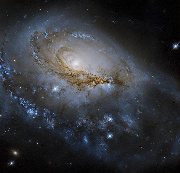 1. NGC 1961