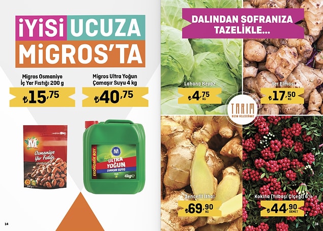 Kokina (fleur de Noël) 6 paquets 44,90 c.