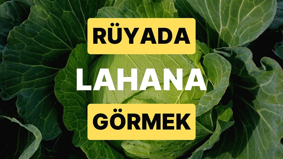 Rüyada Lahana Görmek: Etrafınızda Kötü Niyetli Kimseler mi Var?
