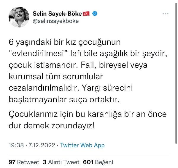 26. CHP İzmir Milletvekili Selin Sayek Böke: