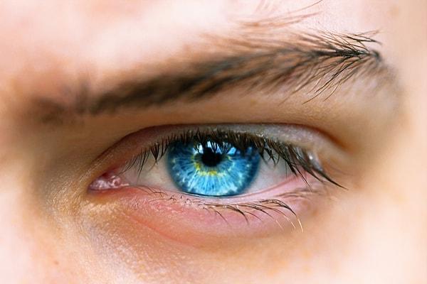 1. Mavi gözlerde mavi pigment bulunmaz ve rengi yapısal renkten gelir. Stromanın fibrovasüler yapısında mavi ışığın dağılmasına neden olan küçük parçacıklar vardır. Bu da Tyndall etkisinin bir örneğidir.