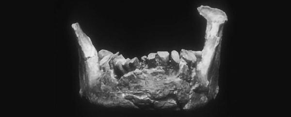 Daha önce bir Neandertal'e ait olduğu düşünülen eski bir çene kemiği, aslında çok daha farklı bir şey olabilir.