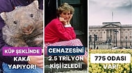 Öğrendiğiniz Andan İtibaren Bilgi Şöleninde Boğulacağınız Birbirinden İlginç Kültürel Gerçekler