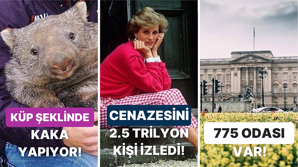 Öğrendiğiniz Andan İtibaren Bilgi Şöleninde Boğulacağınız Birbirinden İlginç Kültürel Gerçekler