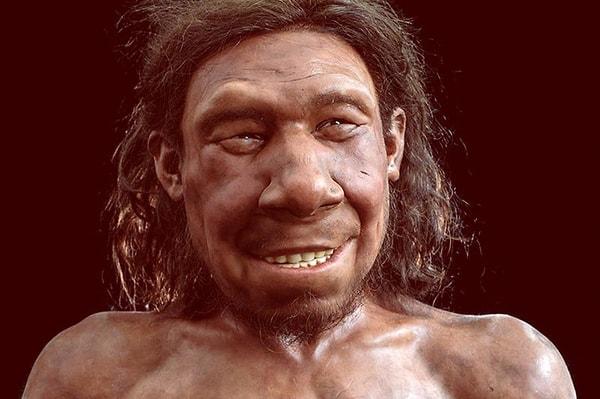 Bu durum ve kemiğin arkaik şekli, bilim insanlarını çenenin aslında bir Neandertal'e ait olduğu sonucuna götürdü.