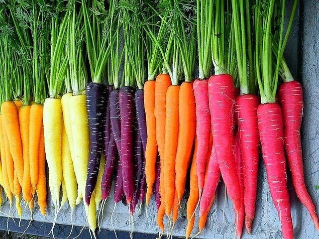 Les carottes étaient blanches, jaunes ou violettes. À la suite de la mutation, une carotte orange a été obtenue.