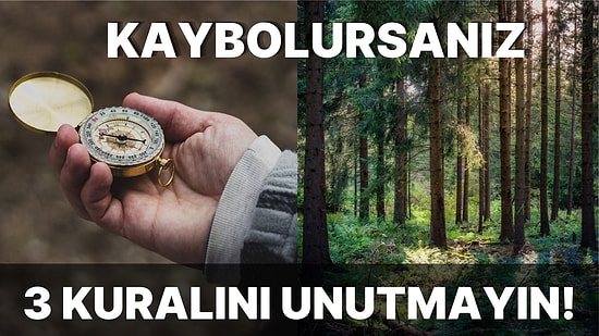 Öğrenmeye Sürekli Aç Olan Bünyelerin Bu Hafta Öğrenebileceği 15 İşe Yarar Bilgi