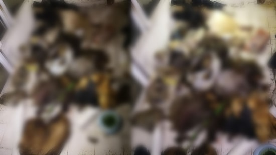 Dehşet! Bir Evde 20'den Fazla Çürümüş Kedi ve Köpek Ölüsü Bulundu