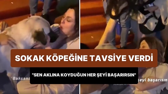 Sokak Köpeğini Rehin Alan Sarhoş Kadın: 'Sen Aklına Koyduğun Her Şeyi Başarırsın'