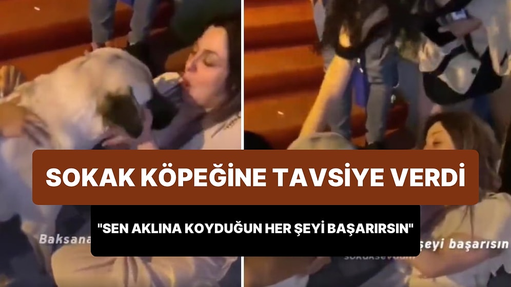 Sokak Köpeğini Rehin Alan Sarhoş Kadın: 'Sen Aklına Koyduğun Her Şeyi Başarırsın'