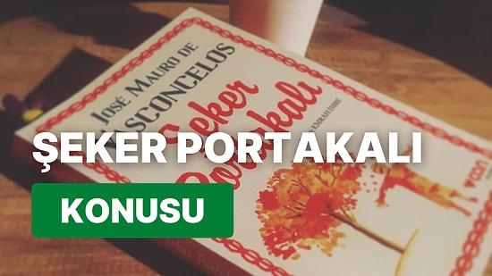 Şeker Portakalı'nın Konusu Nedir? Şeker Portakalı Özeti ve Sözleri
