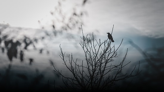 Korku Filmlerinde Kullanılsa Hiç de Sırıtmayacak Dinlediğiniz Anda Tüylerinizi Ürperten 16 Şarkı