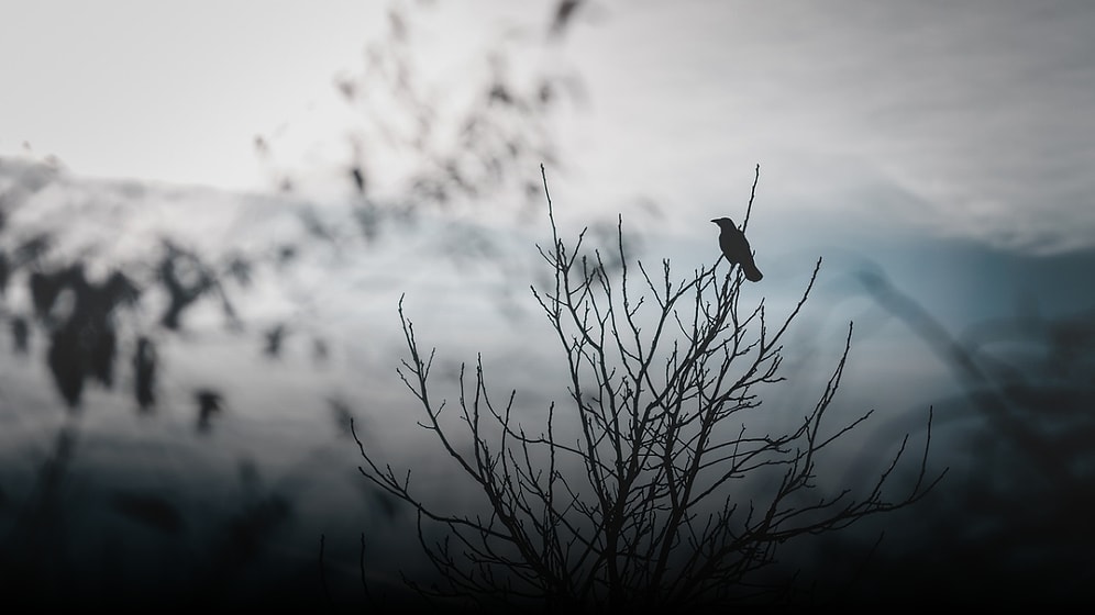 Korku Filmlerinde Kullanılsa Hiç de Sırıtmayacak Dinlediğiniz Anda Tüylerinizi Ürperten 16 Şarkı