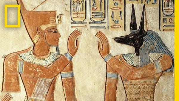 10. Antik Mısır'da insanlar kedileri öldüğünde yas tuttuklarını belirtmek için kaşlarını kazıyordu.