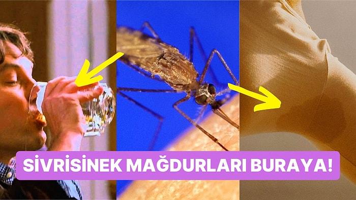 Sivrisinekler Bazı İnsanları Neden Daha Çok Isırıyor?