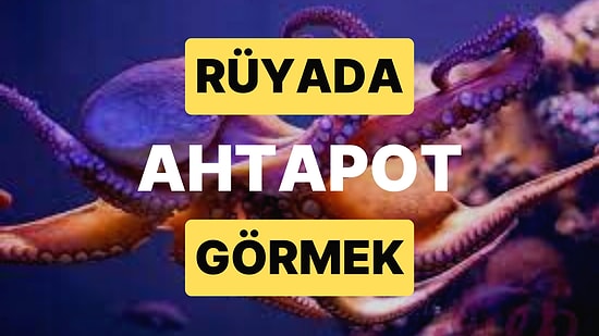 Rüyada Ahtapot Görmek: Bilinçaltınız Size Bir Mesaj Vermeye Çalışıyor!