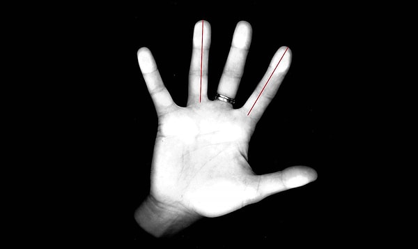 Anne karnında maruz kalınan testosteron miktarının el parmak tipini etkilediği söyleniyor.