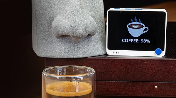 Бенджамин Кабе подробно описывает, как сделать искусственный нос и как его закодировать.