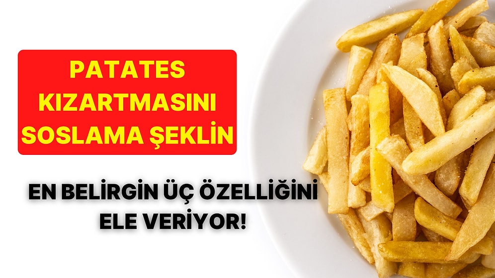 Patetes Kızartmasını Soslama Şekline Göre En Belirgin Üç Özelliğini Söylüyoruz!