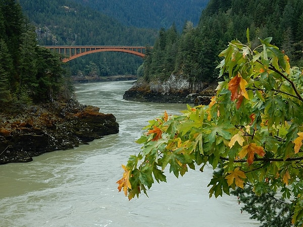 British Columbia, bir deniz ürünleri cenneti. Eskiden somon açısından zengin olan Fraser Nehri'nin ağzında yer alan şehir, batıda Vancouver Adası'na ve Pasifik Okyanusu'na kıyısı vardır.