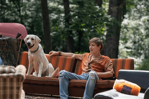 ‘dog Gone Netflixs Original Heartfelt Humanity Film Based On A True
