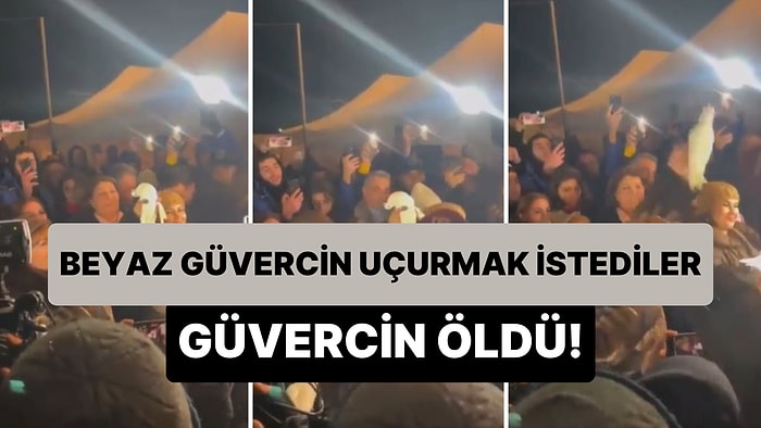 Azerbaycanlı Aktivistler Barışçıl Olduklarını Göstermek İçin Beyaz Güvercin Uçurmak İstedi: Güvercin Öldü