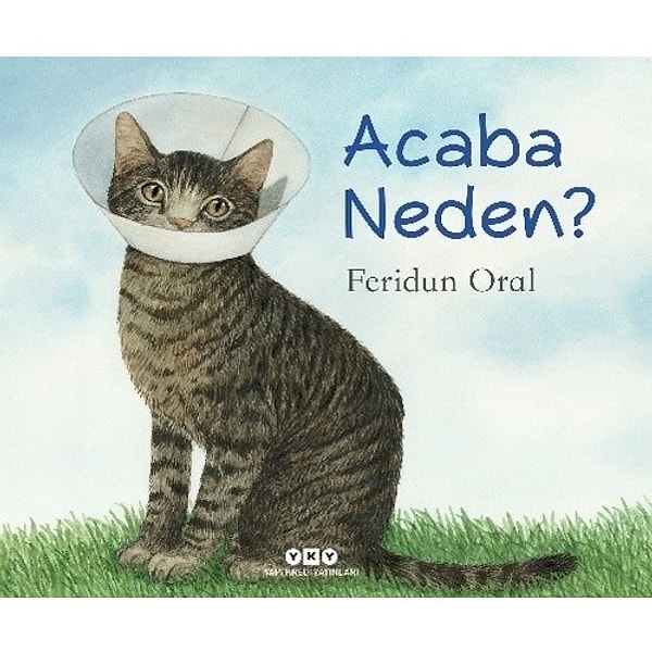 24. Acaba Neden? - Feridun Oral