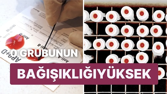 Araştırmaya Göre Hangi Kan Grubunun Beyne Pıhtı Atma Oranı Diğerlerine Göre Yüksek Çıktı?