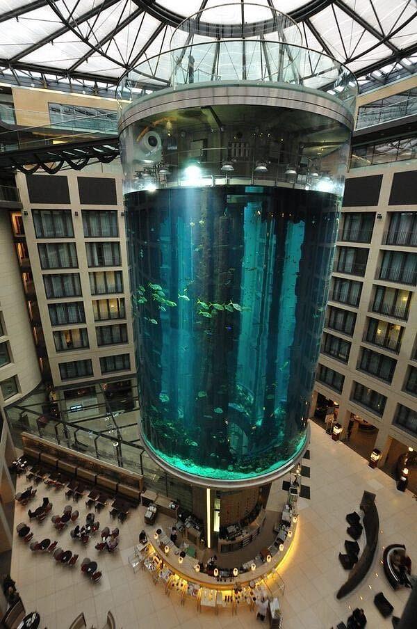 Almanya'nın başkenti Berlin'de bir otel lobisinde yer alan, içinde 1 milyon litre su ve 1500 tropik balığın bulunduğu dev akvaryum patladı.