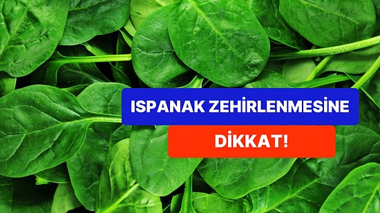 Hazır Mevsimi Gelmişken Dikkatli Olun! Ispanak Zehirlenmesi Nedir? Belirtileri Nasıl Anlaşılır?