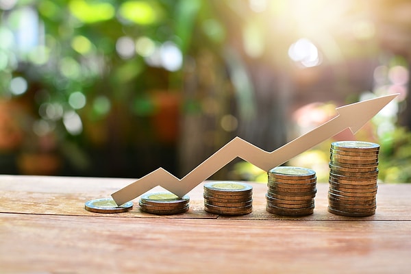 1. Birikimleriniz profesyoneller tarafından yönetilir.