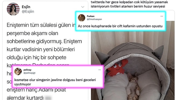 Kokina Çiçeği Alanlardan Kafasının Üstünde Öpüşenlere  Son 24 Saatin Viral Twitter Paylaşımları