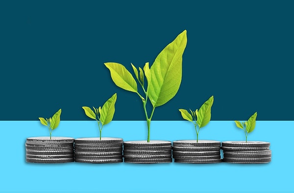 7. İlk başta, birikimlerinizin nasıl değerlendirildiğini incelemeniz önerilir.