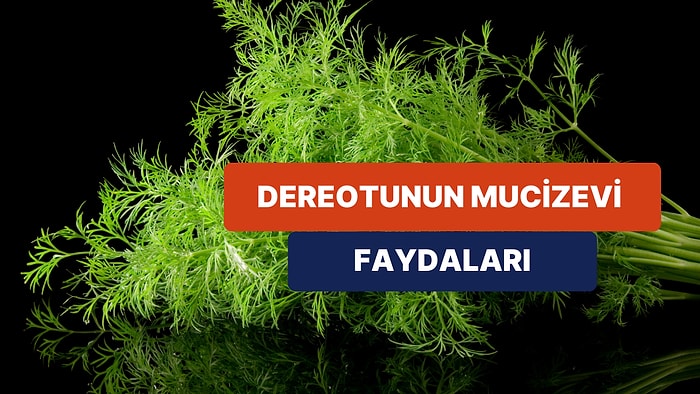 Bugüne Kadar Tüketmediğiniz İçin Pişman Olacaksınız! Dereotunun Mucizevi Faydaları