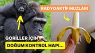 Günlük Hayatınızın Parçası Haline Gelmiş Şeyler Hakkında Öğrenince Küçük Dilinizi Yutacağınız 10 İlginç Bilgi