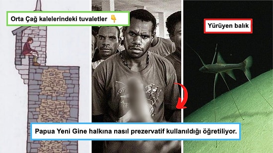Gördükten Sonra Dünyaya Bakış Açınızı Değiştirecek Her Biri Birbirinden Enteresan 17 Görsel