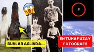 Bugünlük Bu Kadar İnternet Yeter Demenize Sebep Olacak Tuhaflıkta 15 Acayip Görsel