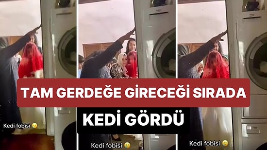 Düğün Sonrası Gerdeğe Gireceği Evde Kedi Gören Gelin Korkudan Eve Giremedi