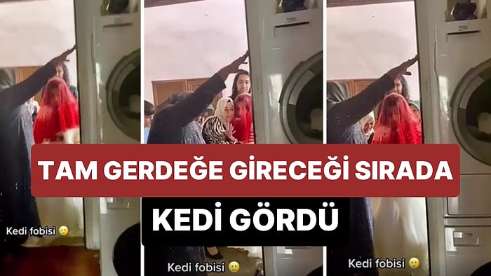 Düğün Sonrası Gerdeğe Gireceği Evde Kedi Gören Gelin Korkudan Eve Giremedi