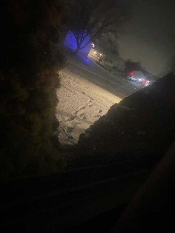 "Когда я смотрел в окно ночью, я увидел следы, приближающиеся к моему дому."