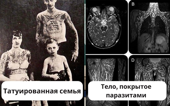 15 странных снимков, которые заставят вас сказать, что на сегодня достаточно Интернета