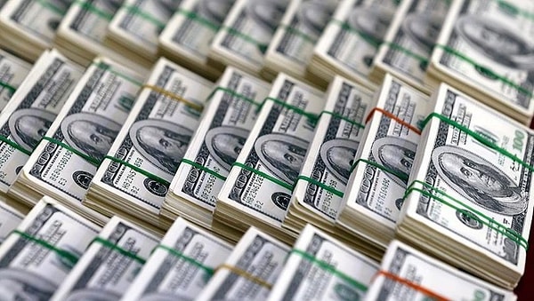 Dolar/TL, dün günü sınırlı bir artışla tamamlarken, bugün piyasa açılışında 18,66 seviyesinden işlem gördü. Gün sonunda da 18,6668 seviyesinden karşılık buldu.