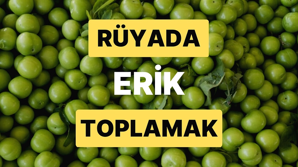 Rüyada Erik Toplamak: Kaybettiğiniz Bir Şeyi Hiç Beklemediğiniz Bir Anda Bulacaksınız!