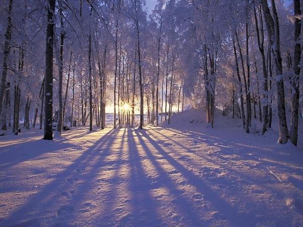 Kış gün dönümü, Kuzey Yarımküre'deki en soğuk mevsim olan kışın resmi başlangıcını işaret eder. Kış gündönümü sırasında Güneş, Oğlak Dönencesi olarak da bilinen Ekvator'un en güney noktasında hareketsiz durur.
