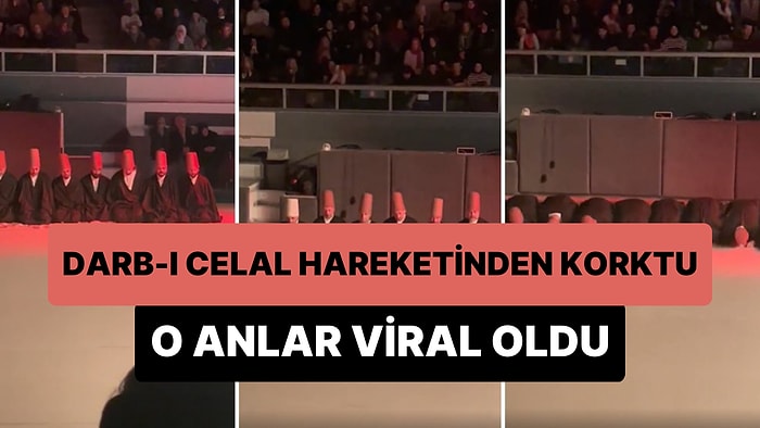 Şeb-i Arus Merasimi’nde Darb-ı Celal Hareketinden Korkarak Kaçan Yavru Kedi Viral Oldu