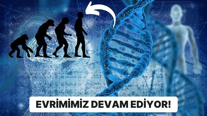 Yeni Keşfedilen 155 Gen İnsanların Hâlâ Evrim Geçirdiğini Gösteriyor!