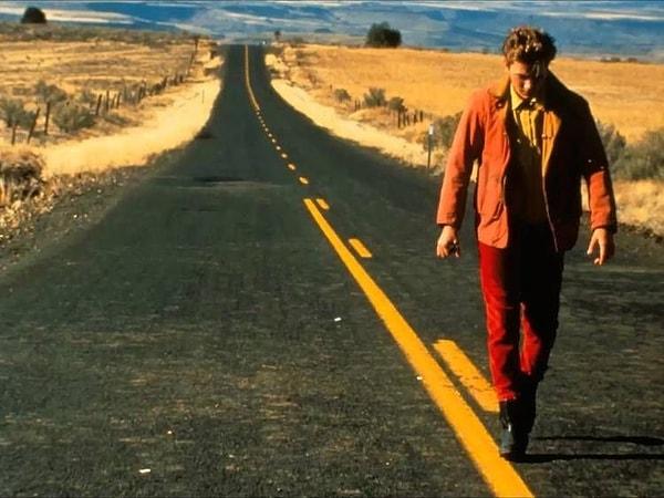 16. My Own Private Idaho (1991)